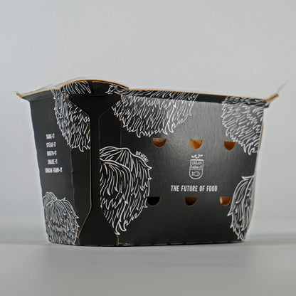 UFI Lion's Mane Punnet