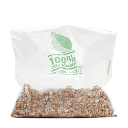 Blue-Grey Oyster Mushroom Grain Spawn