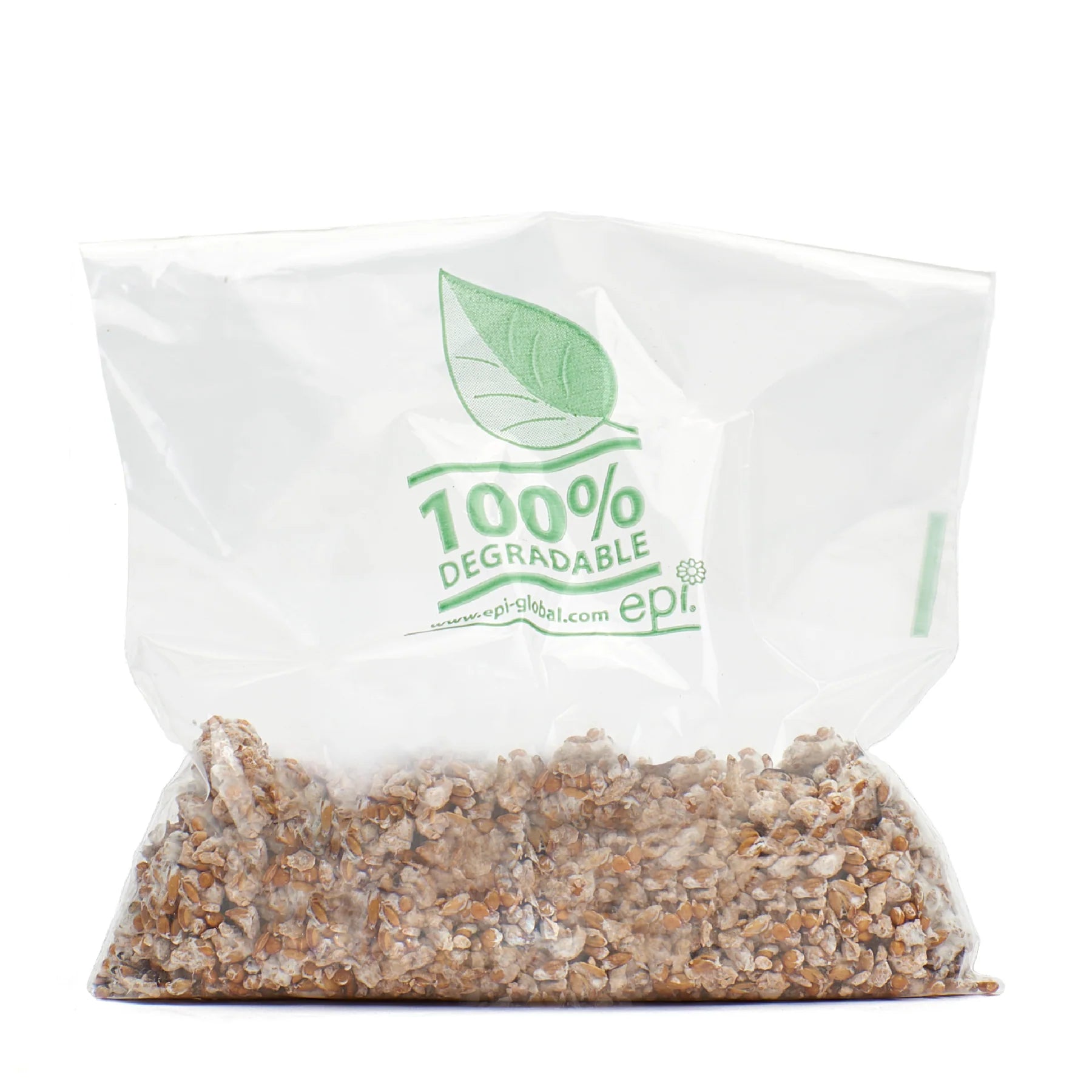 Pink Oyster Mushroom Grain Spawn