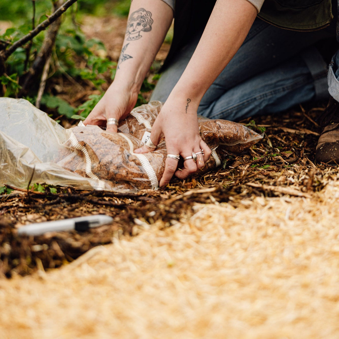 Wine Cap Bed Grow Bundle