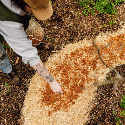 Wine Cap Bed Grow Bundle
