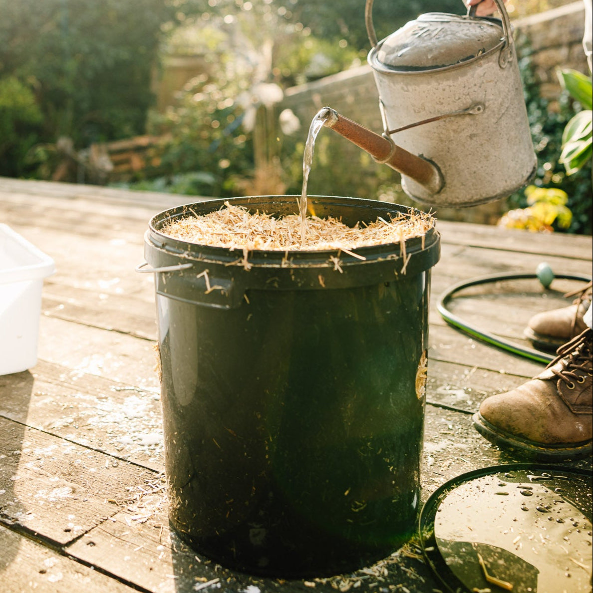 Oyster Bucket Grow Bundle