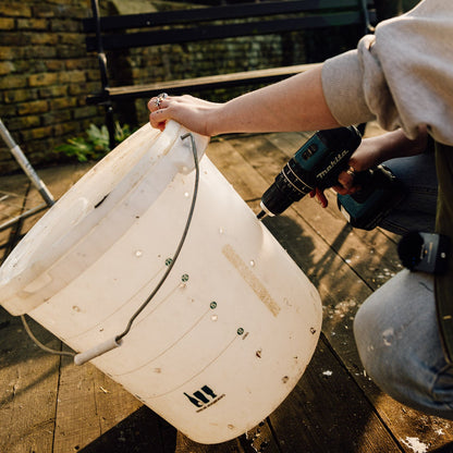 Oyster Bucket Grow Bundle
