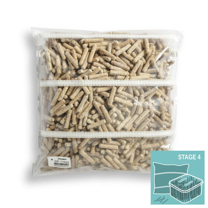 Maitake Mushroom Plug Spawn (Hen of the Woods)