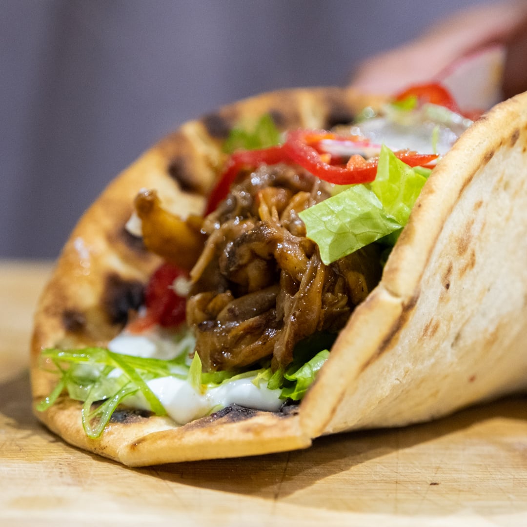 Blue-Grey Oyster Mushroom Growing Kit