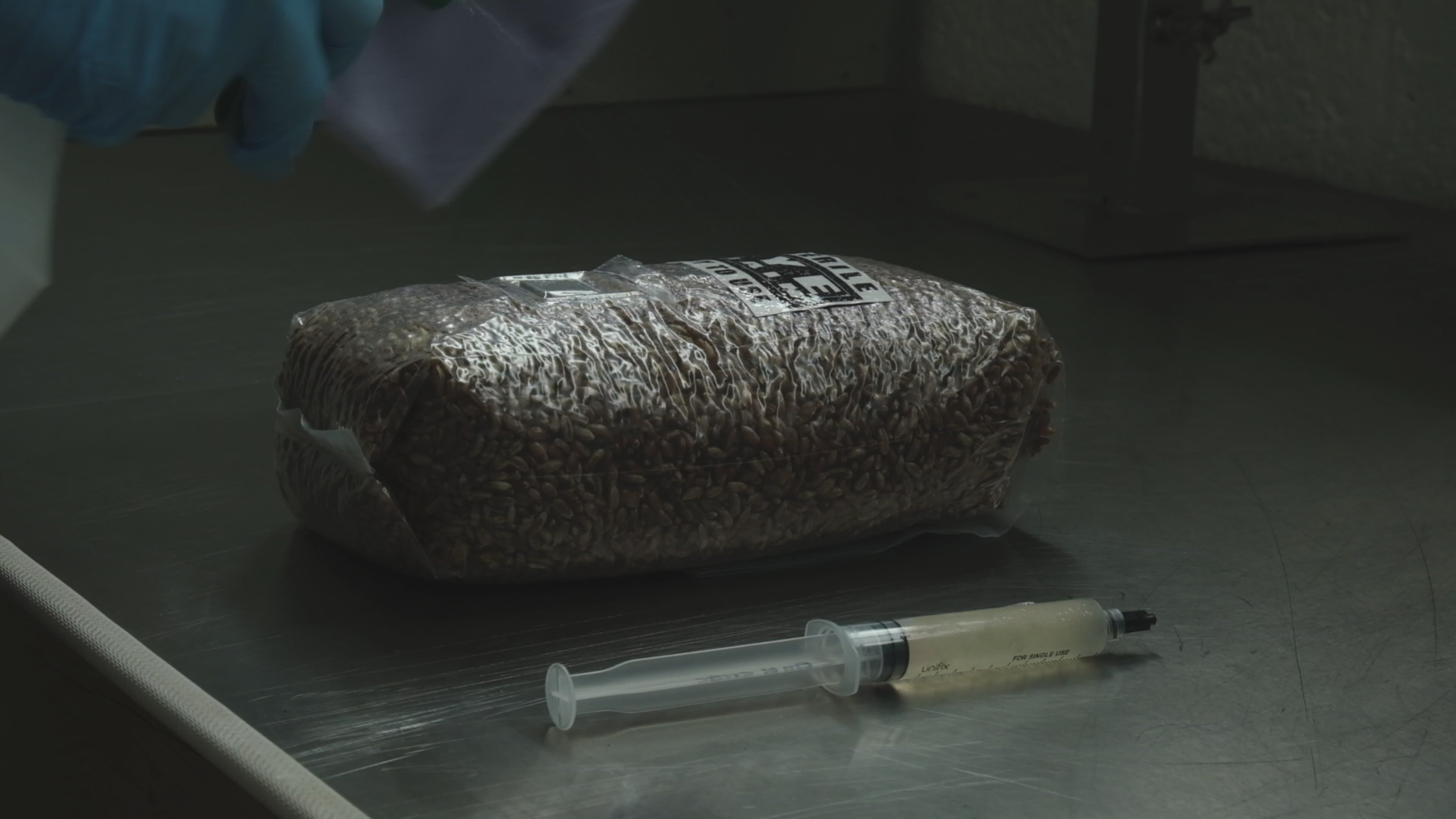 All in One Grow-It Bag