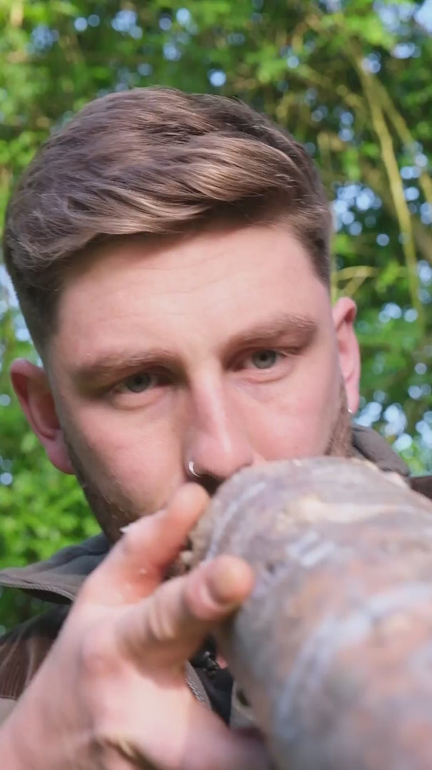 Load video: Blue-Grey Oyster Mushroom Log Growing Kit