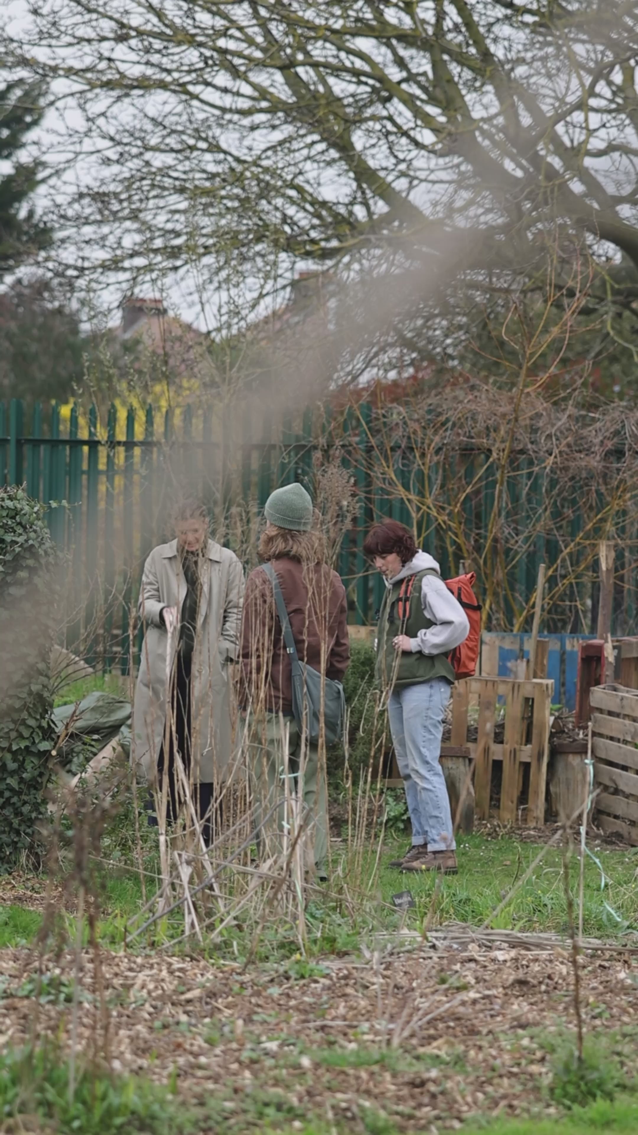 Load video: Wine Cap Bed Grow Bundle