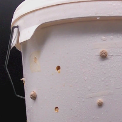 Small Oyster Bucket Bundle