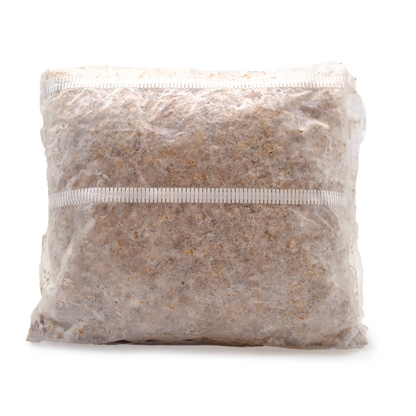 Wine Cap Mushroom Straw Spawn